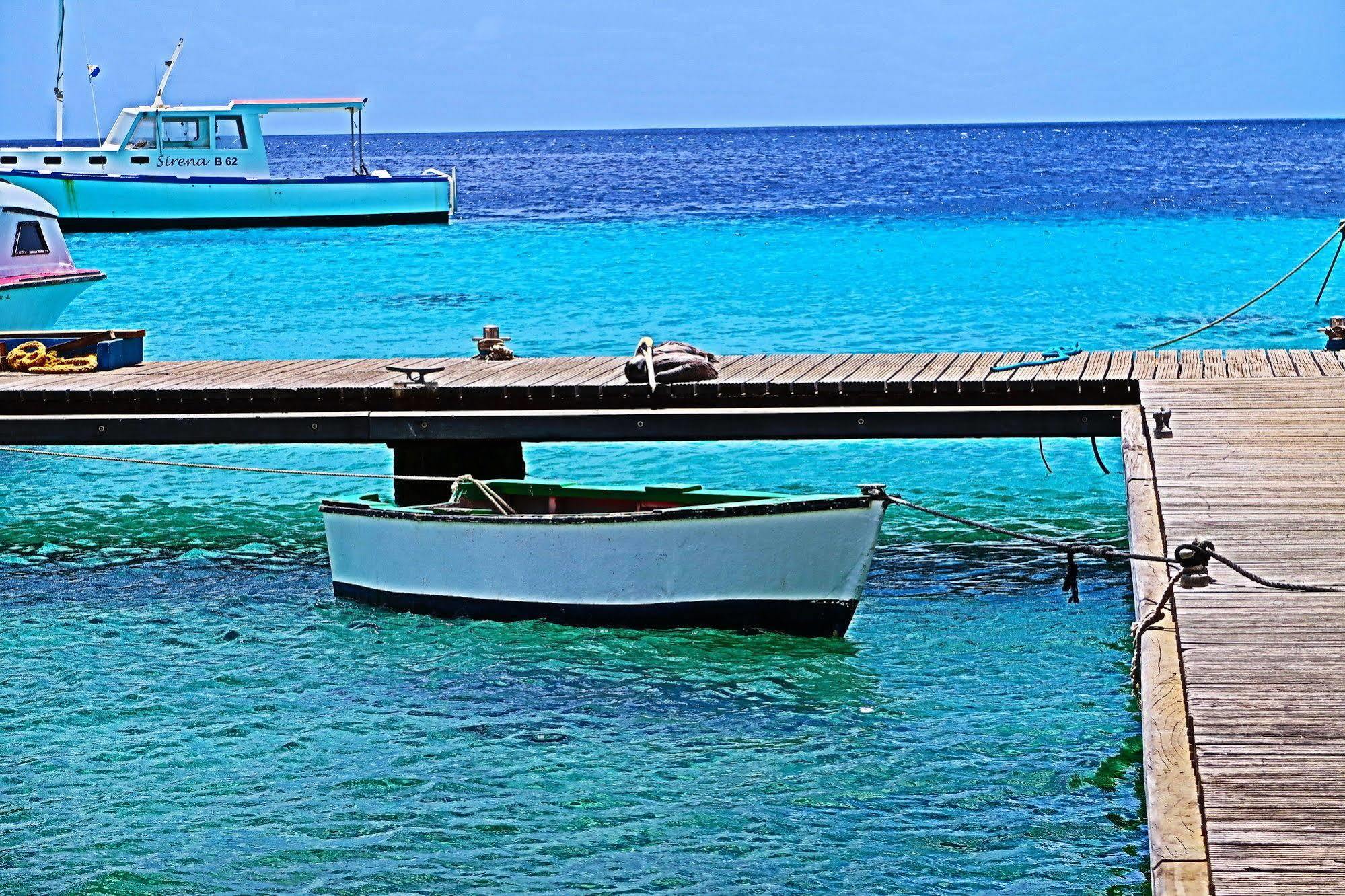 Treasure By The Sea Bonaire Apartment Kralendijk  Exterior photo